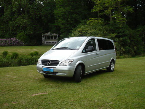 taxidebruin